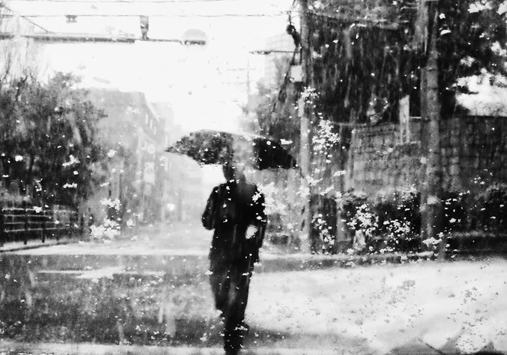 Solitary Man Rainy Street by Mi Young Choi — canvas wall art