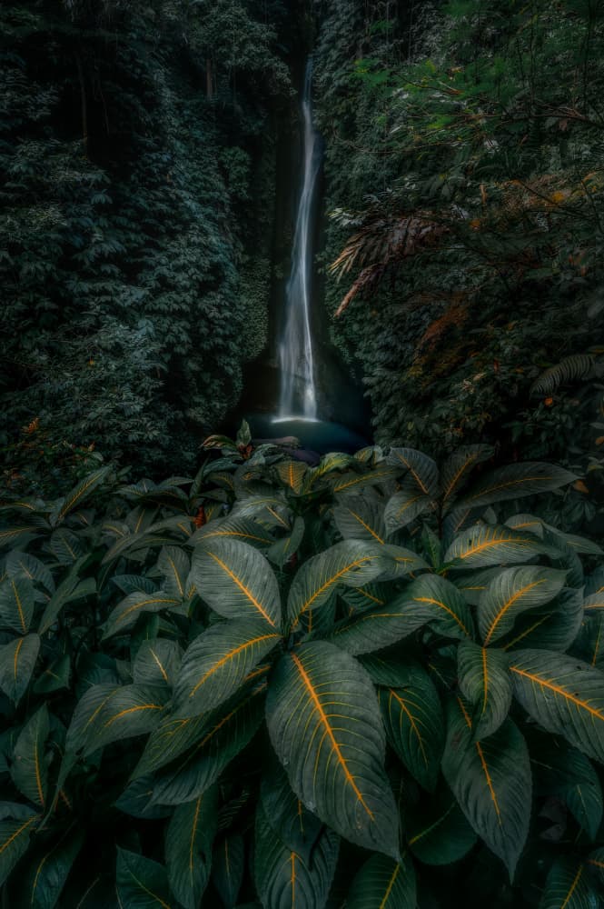 Tropical Forest Waterfall by R Suguri — canvas wall art