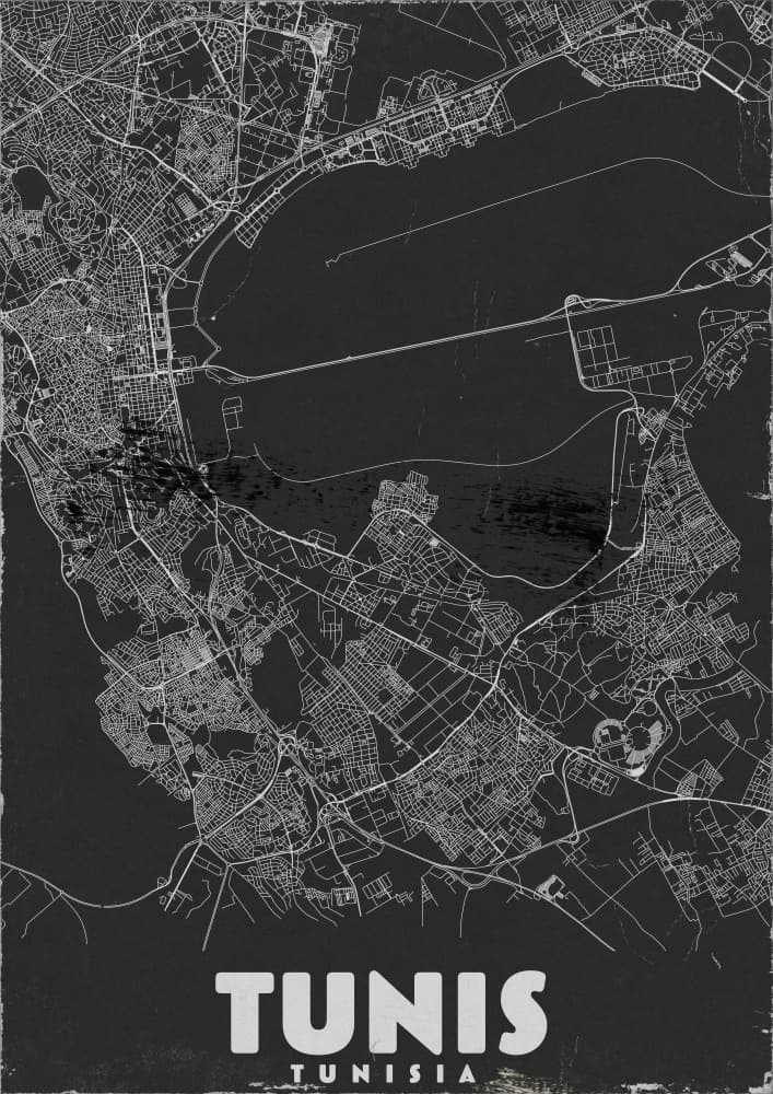 Tunis City Map by Nicholas — canvas wall art
