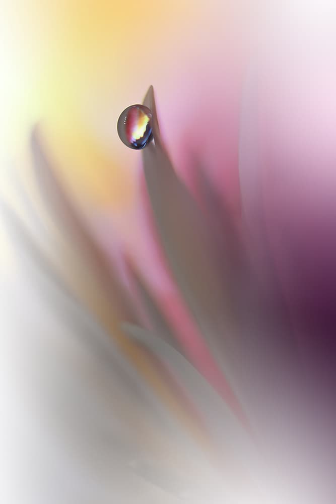 Colorful Water Drop by Juliana Nan — canvas wall art