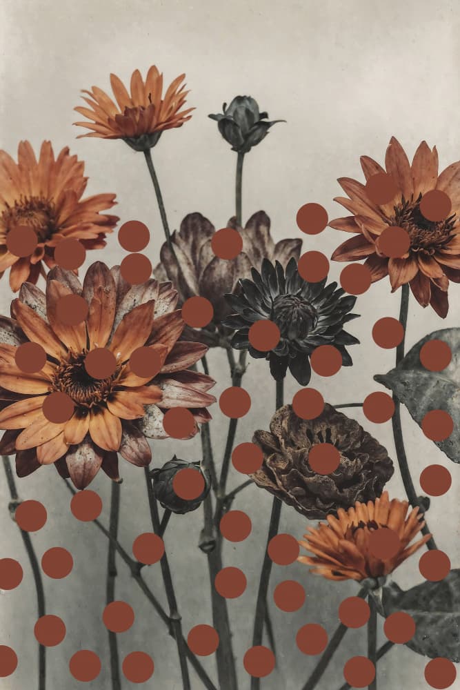 Dark Floral Spots by The Art Concept — canvas wall art