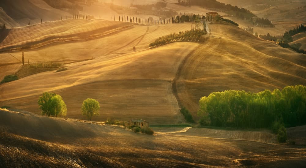 Golden Tuscan Landscape by Krzysztof Browko — canvas wall art