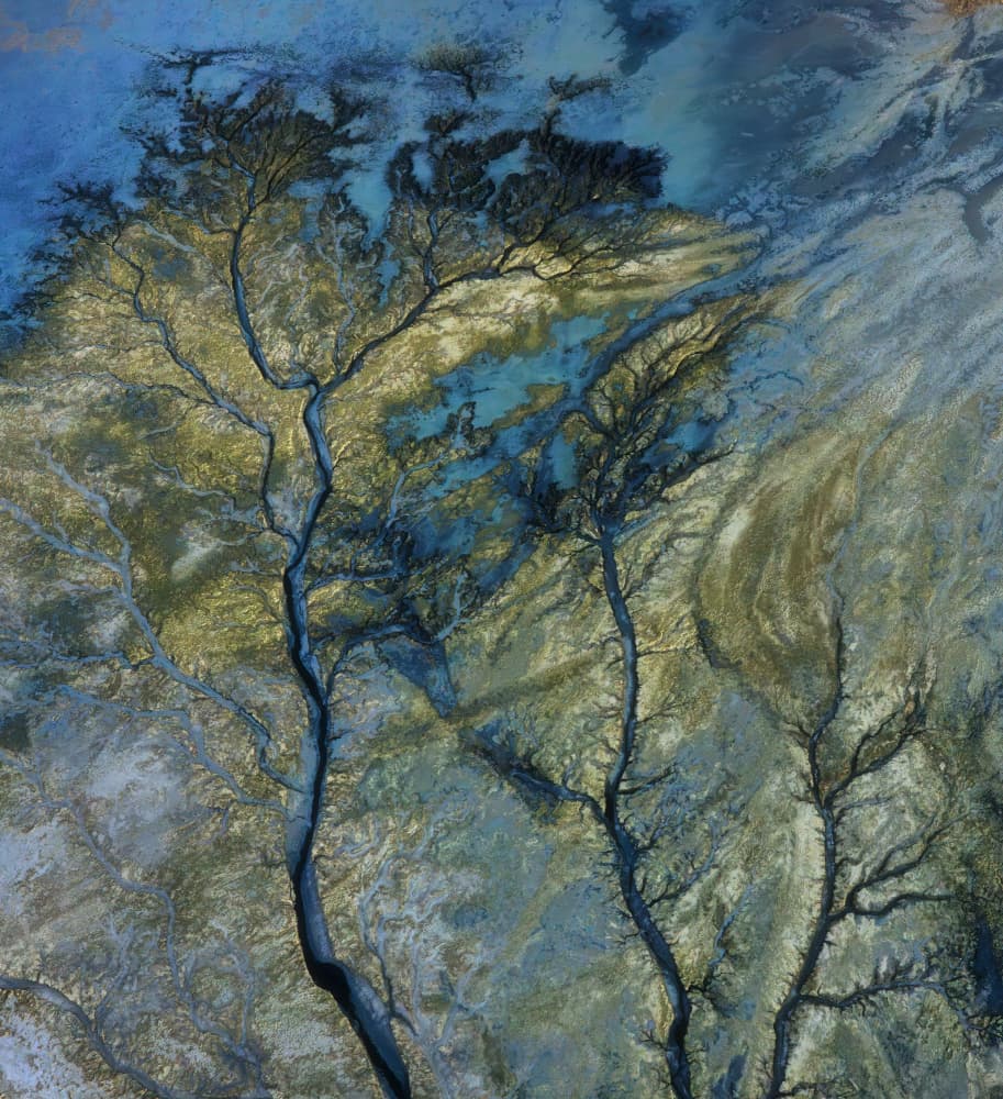 Golden River Branches by MIN LI — canvas wall art