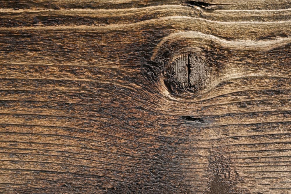 Rustic Wood Grain by Bilge Paksoylu — canvas wall art