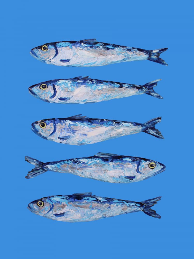 Five Blue Sardines by Alice Straker — canvas wall art