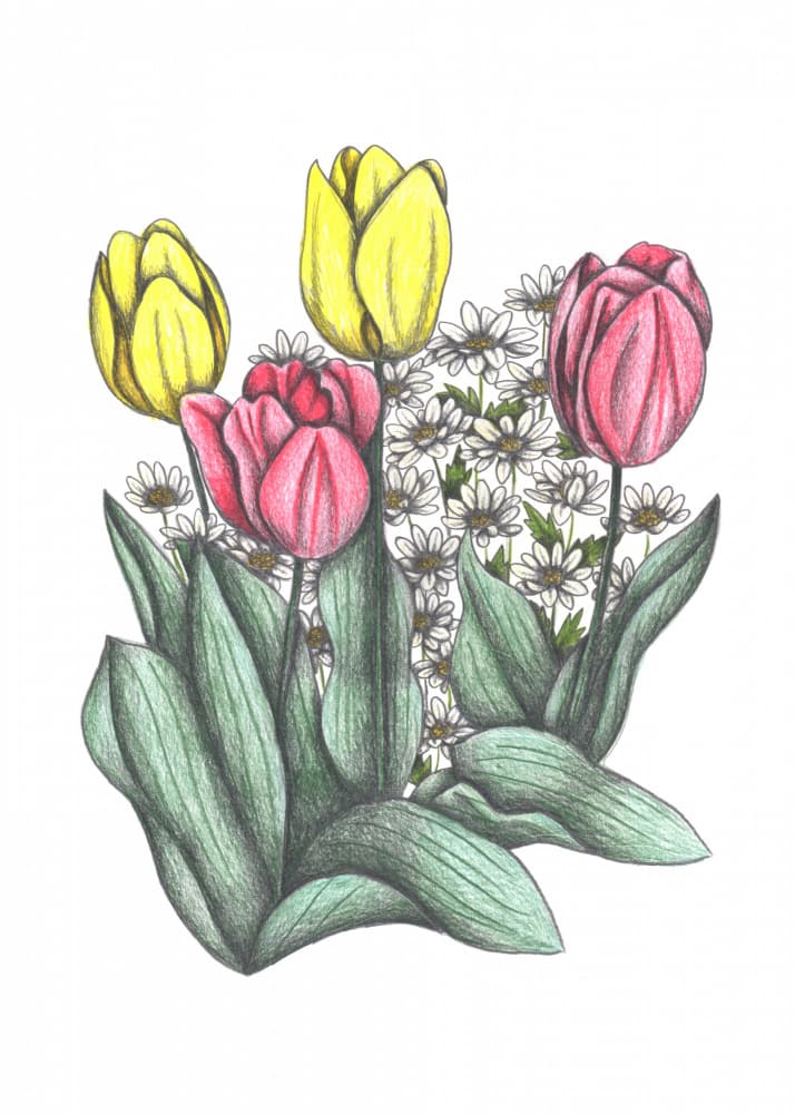 Spring Tulips And Daisies by Cecilia Battaini — canvas wall art