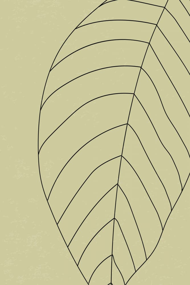 Botanical Line Art Leaf by jay stanley — canvas wall art
