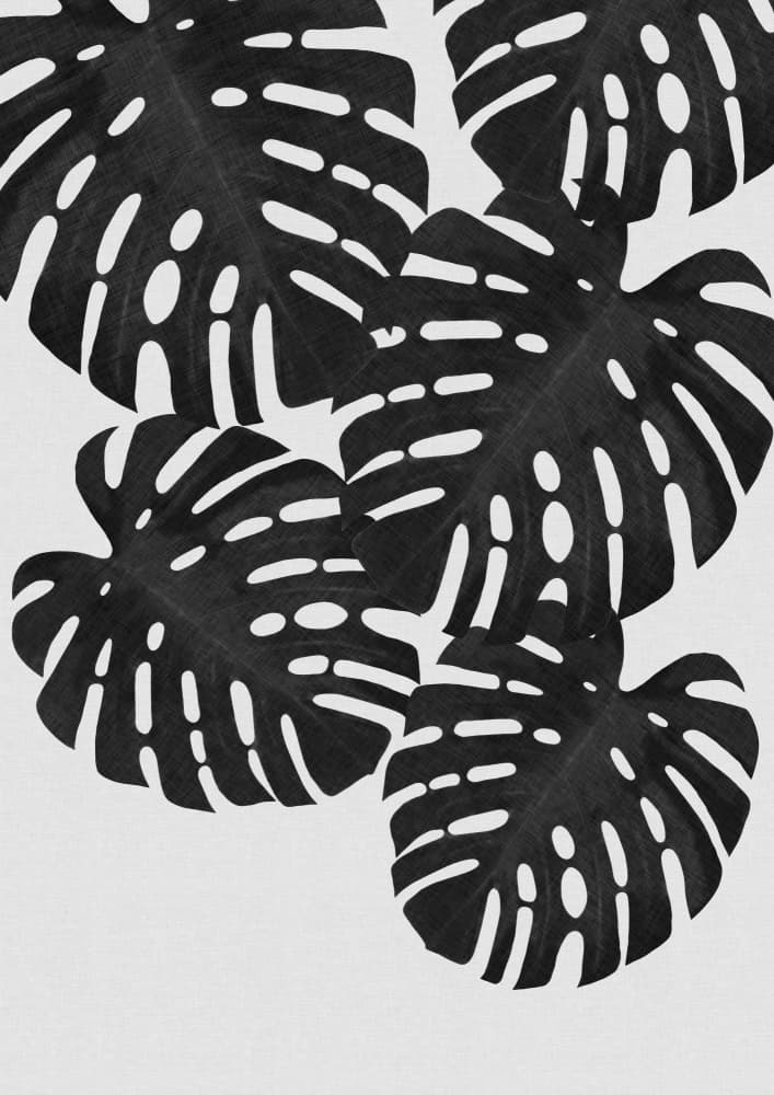 Graphic Monstera Leaves by Orara Studio — canvas wall art