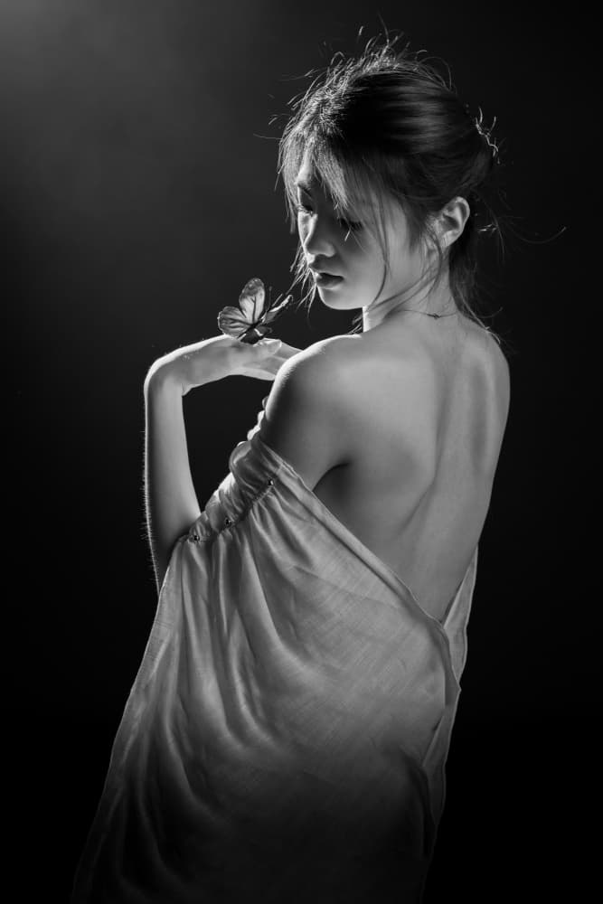 Delicate Butterfly Moment by Songlin Xu — canvas wall art