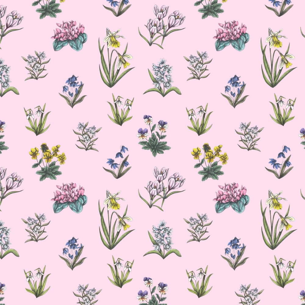 Botanical Spring Flowers by Cecilia Battaini — canvas wall art