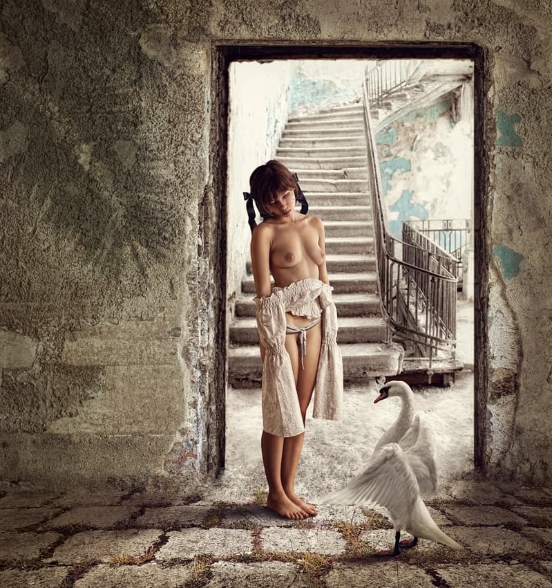 Mysterious Woman Swan by Dmitry Frizel — canvas wall art