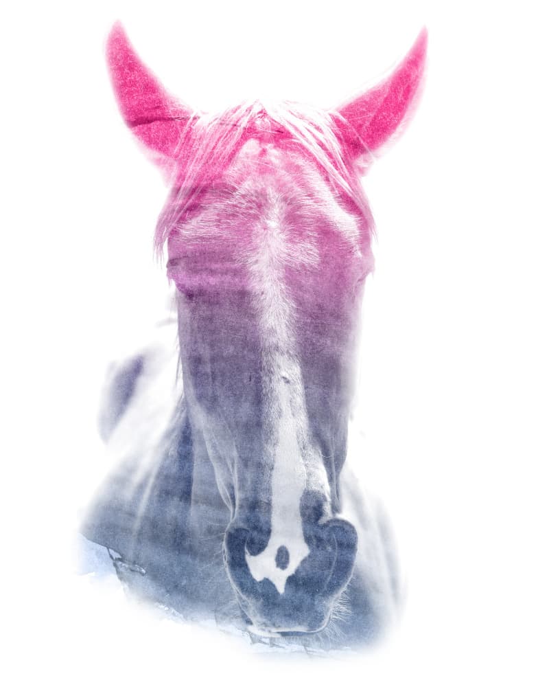 Dreamy Pink Blue Horse by Emiliano Deificus — canvas wall art