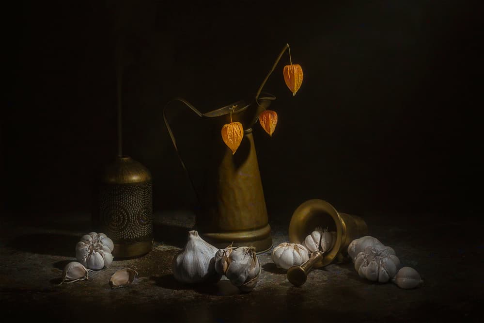 Garlics by Lydia Jacobs — canvas wall art