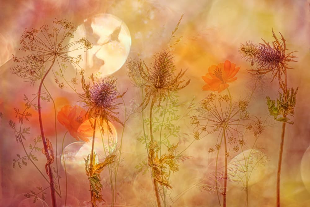 Warm Botanical Dreams by Hilda van der Lee — canvas wall art