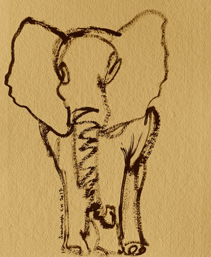 Baby Elephant Sketch by Santhosh ch — canvas wall art