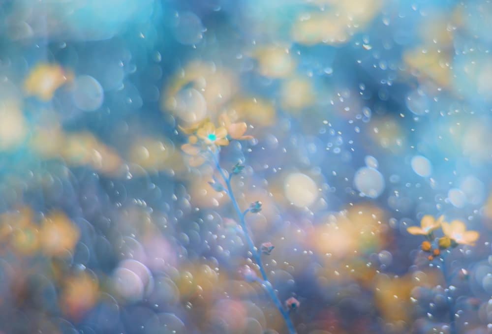 Dreamy Blue Floral Sparkle by Delphine Devos — canvas wall art