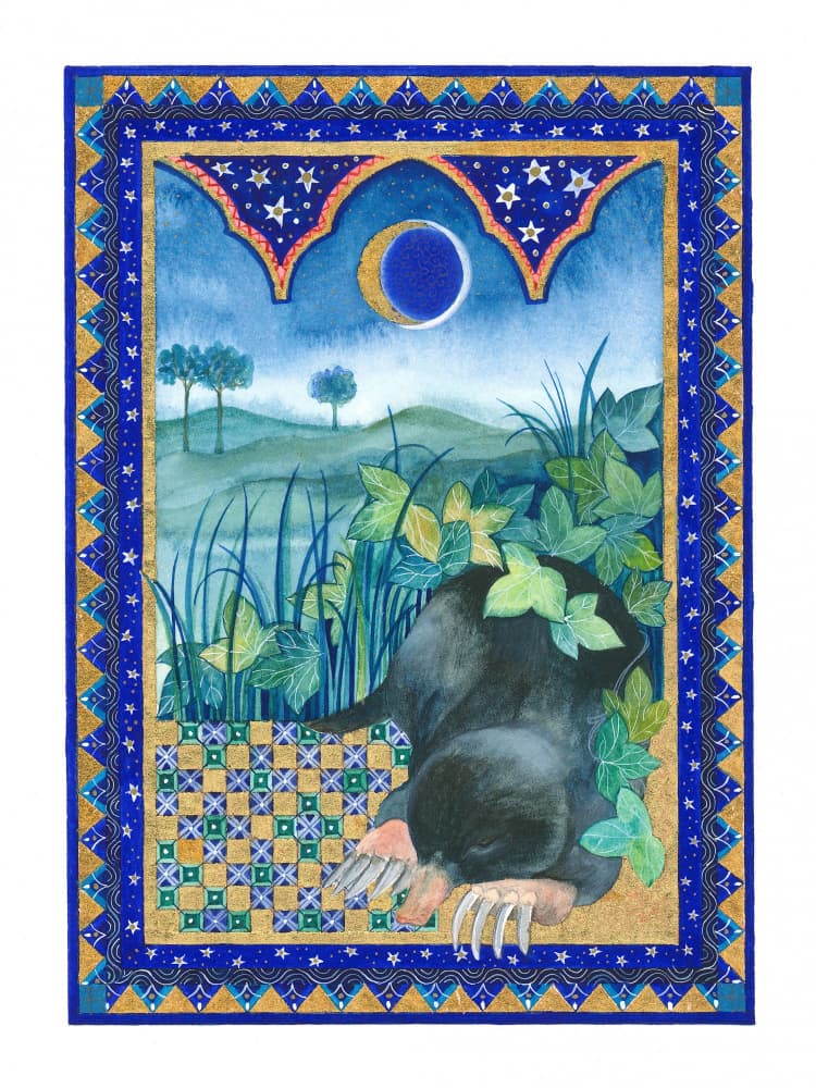 Mole Clean by Isabelle Brent — canvas wall art