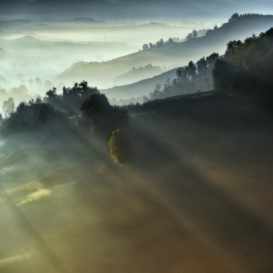 Sunlit Misty Valley by Adam Pachula — canvas wall art