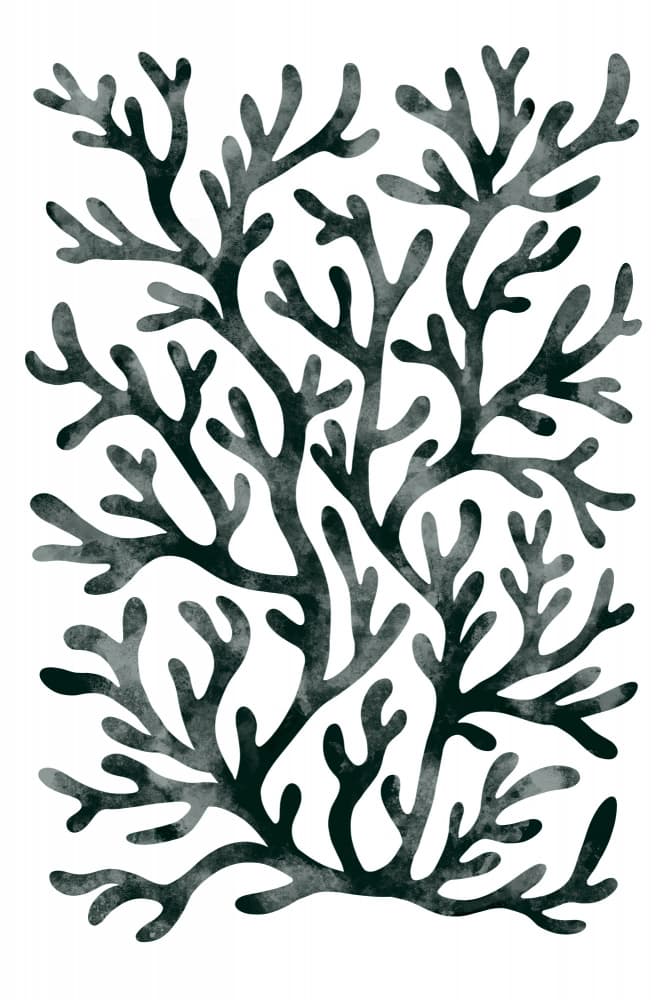 Dark Coral Silhouette by EMELIEmaria — canvas wall art