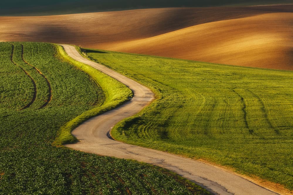 Sunlit Winding Road by Tomasz Rojek — canvas wall art