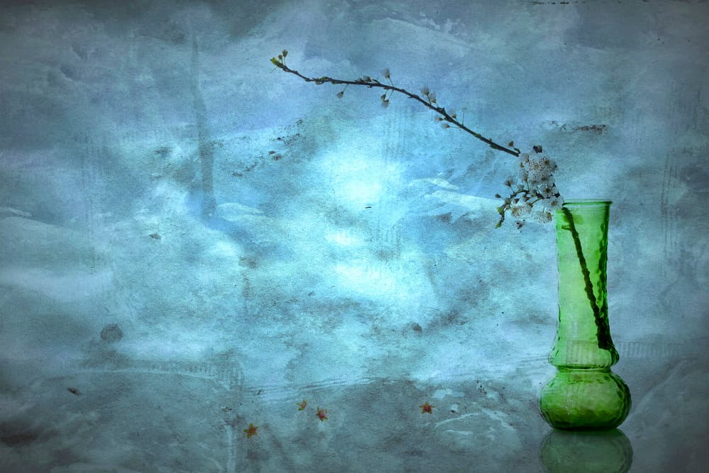 Quiet Blue Blossoms by Eyal Amer — canvas wall art