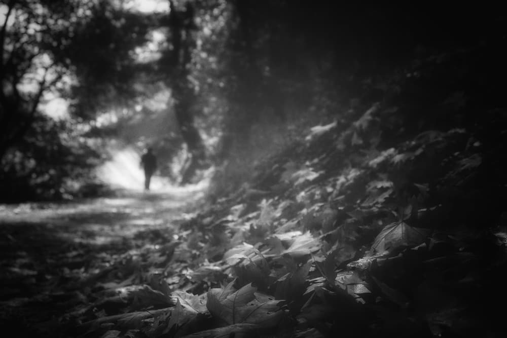 Lone Figure Misty Path by Ali Ayer — canvas wall art