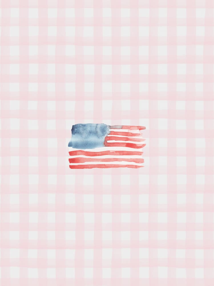 Pink Gingham American Flag by Jolly and Dash — canvas wall art