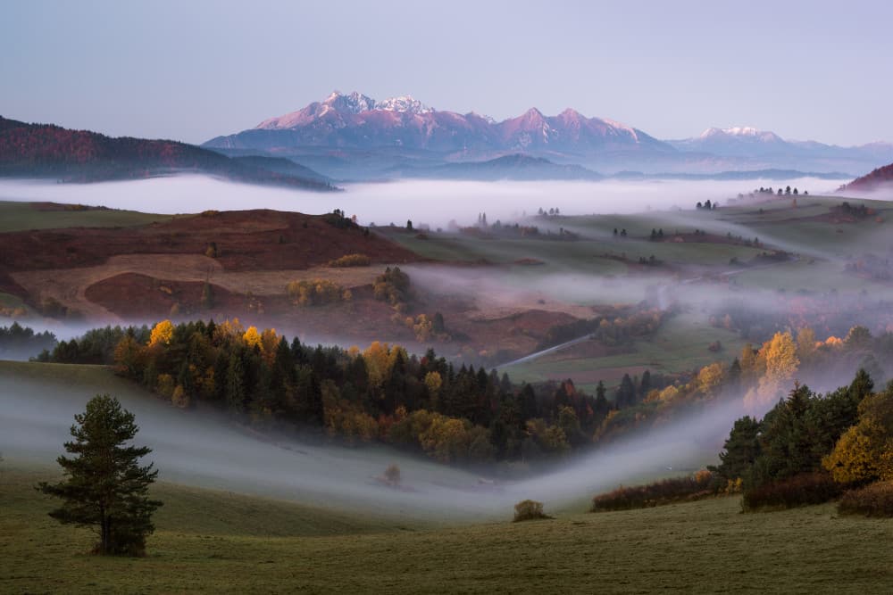 Misty Mountain Morning by Krzysztof Mierzejewski — canvas wall art