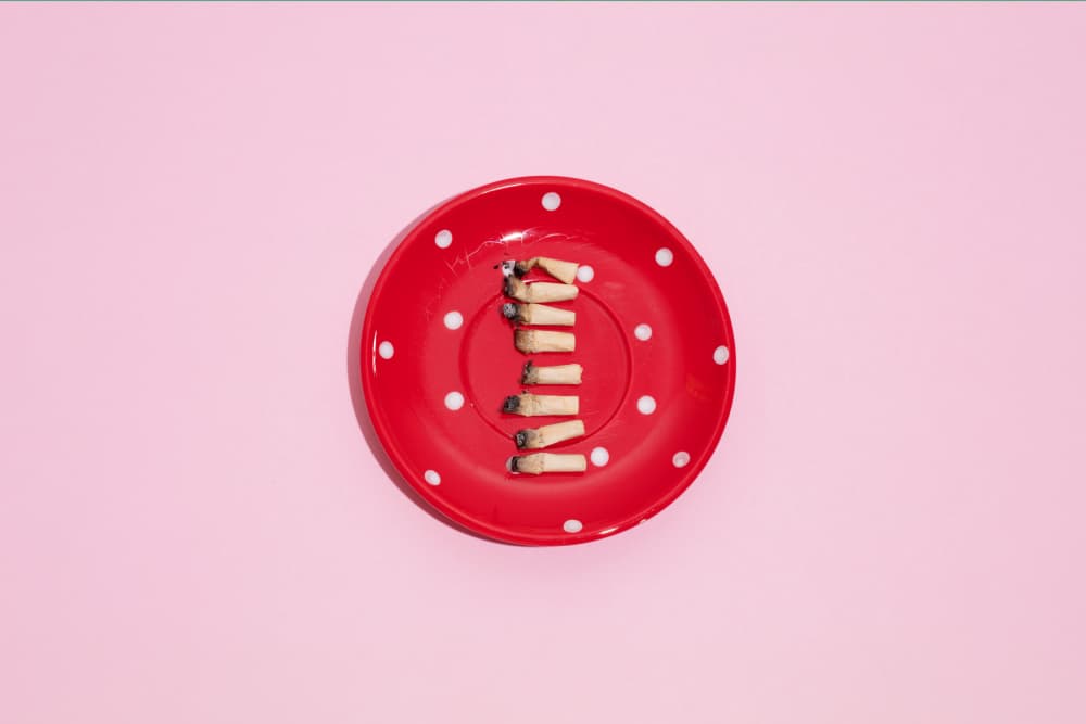 Red Plate Cigarette Butts by Julia Ramiro — canvas wall art