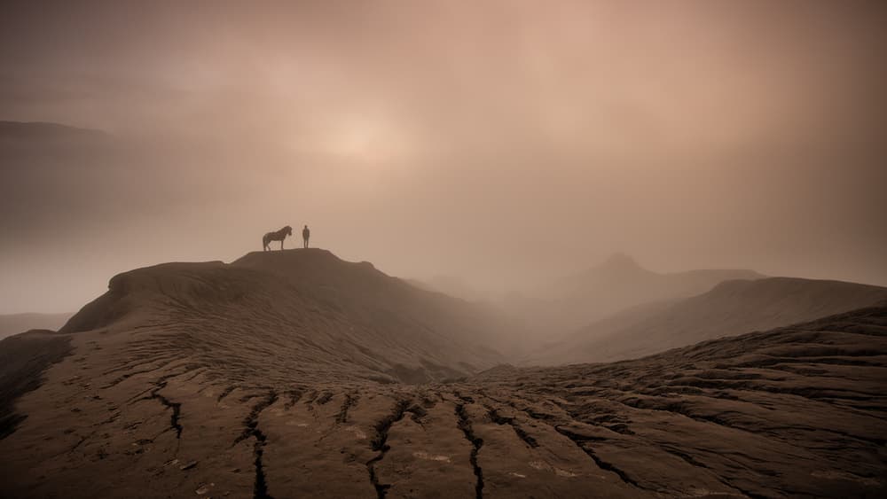 Lone Horse And Man Ridge by Gunarto Song — canvas wall art