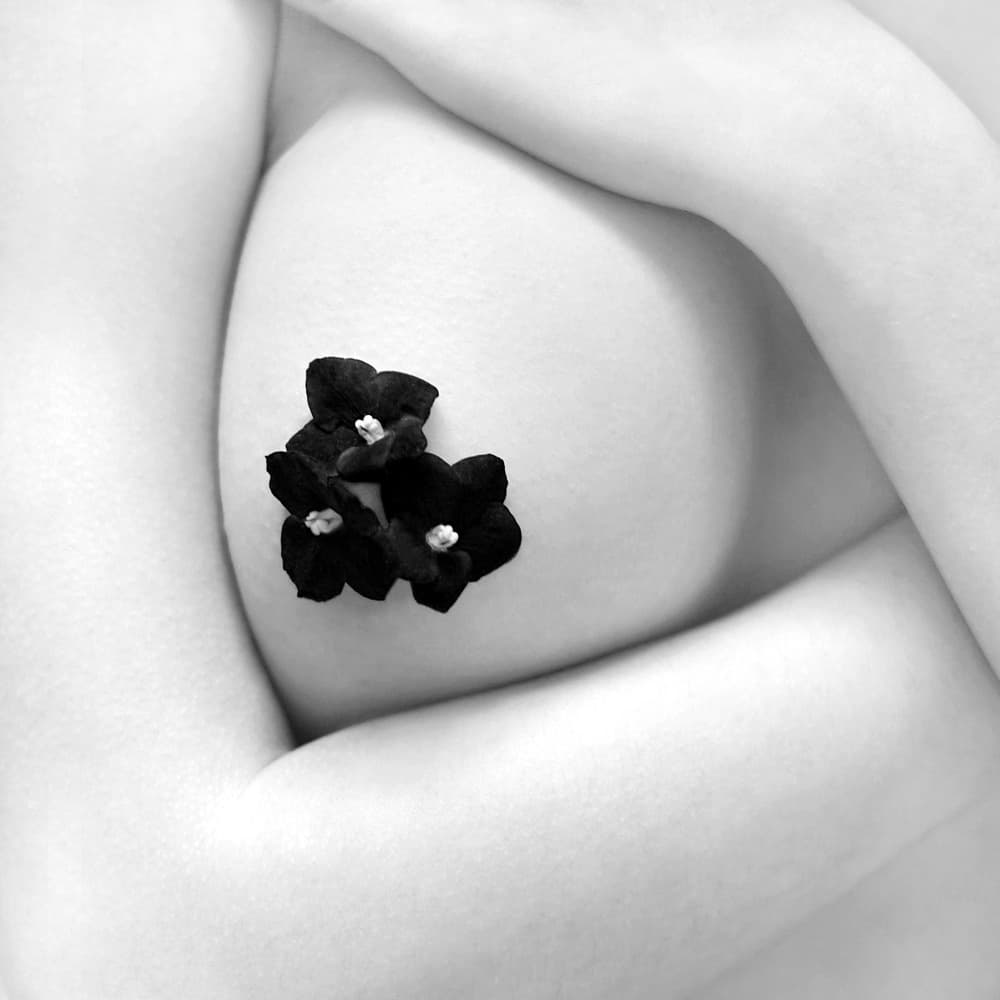 Delicate Black Flowers by Bobby Kostadinov — canvas wall art