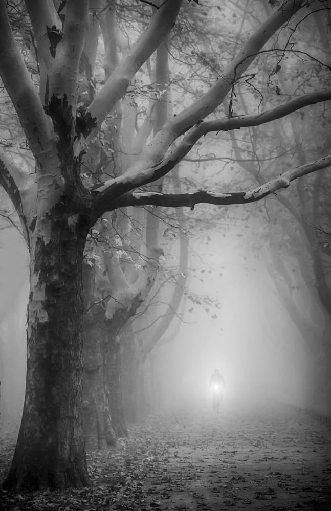 Lone Rider Foggy Path by Anna Niemiec — canvas wall art