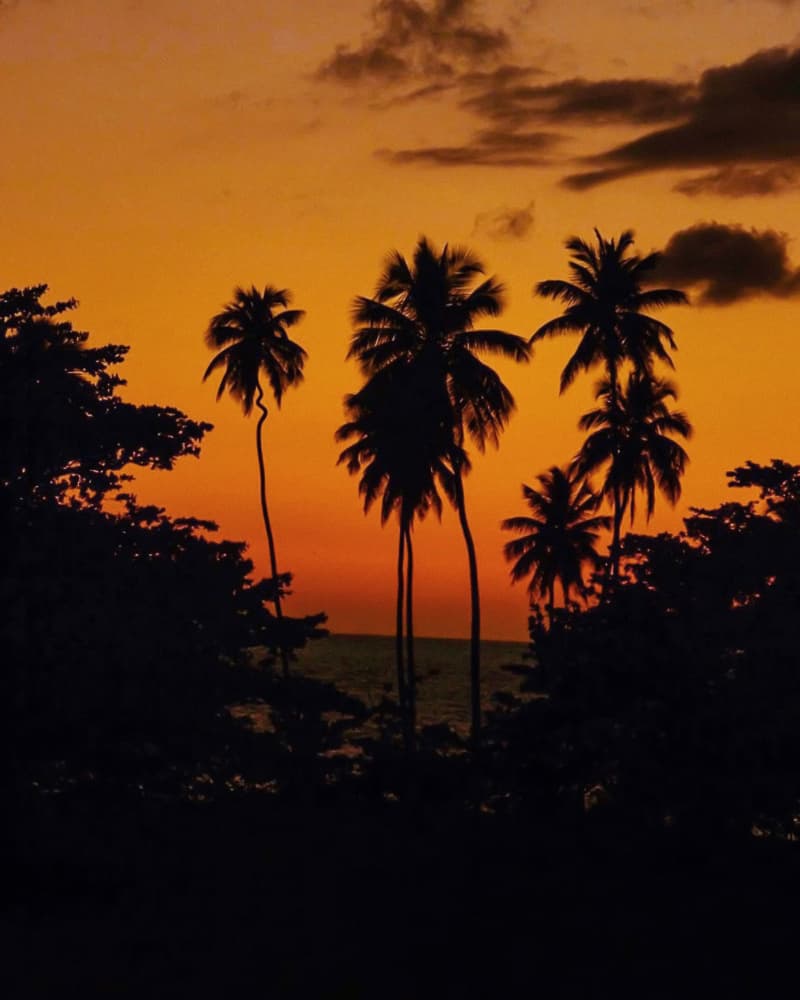 Vibrant Tropical Sunset by Del Mundo Imagery — canvas wall art