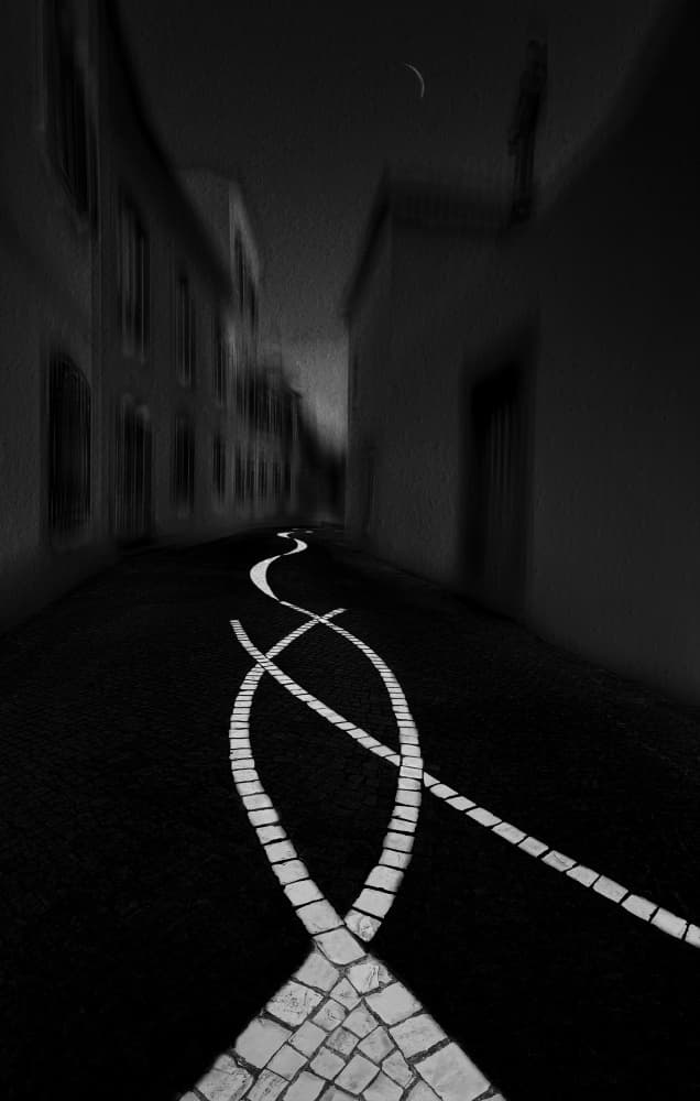 Mysterious Night Path by Molly Fu APA — canvas wall art