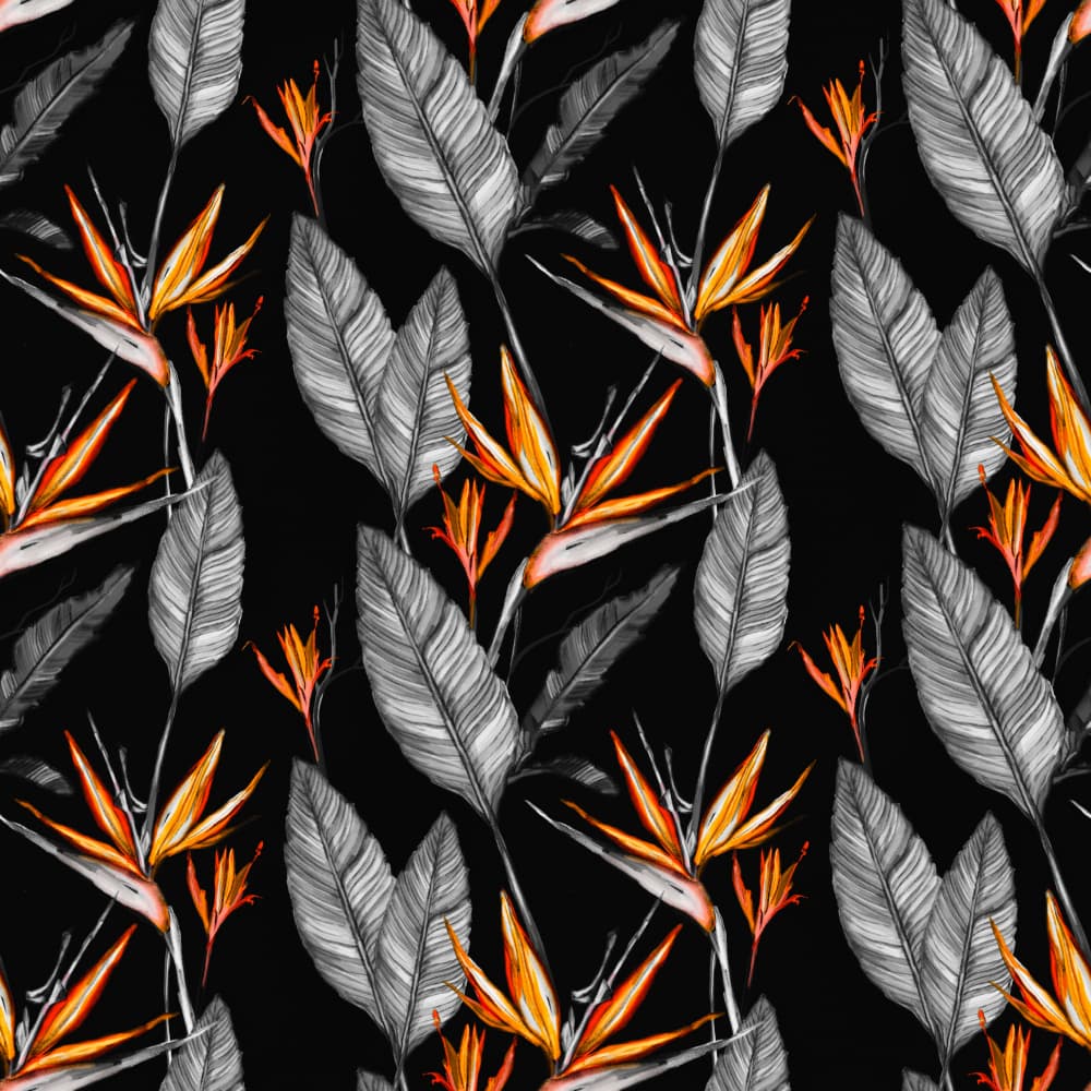 Exotic Birds Of Paradise by Josie George — canvas wall art