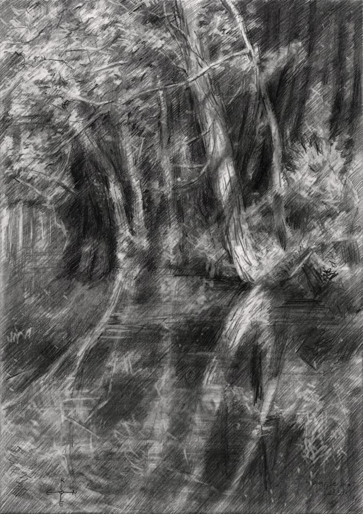 Shaded Forest Stream by Corné Akkers — canvas wall art