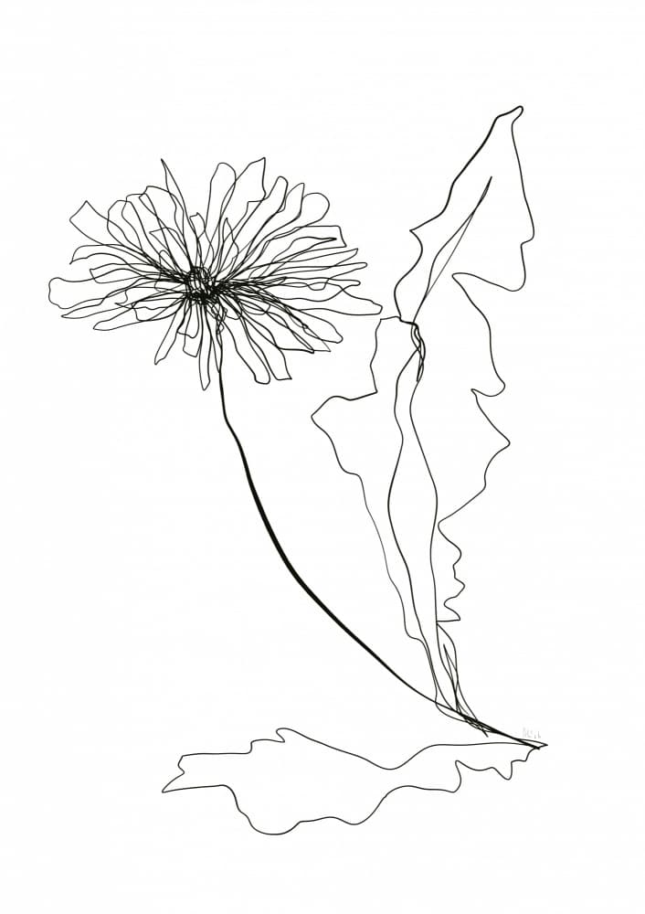 Dandelion Line Art by Ankie Kooi — canvas wall art