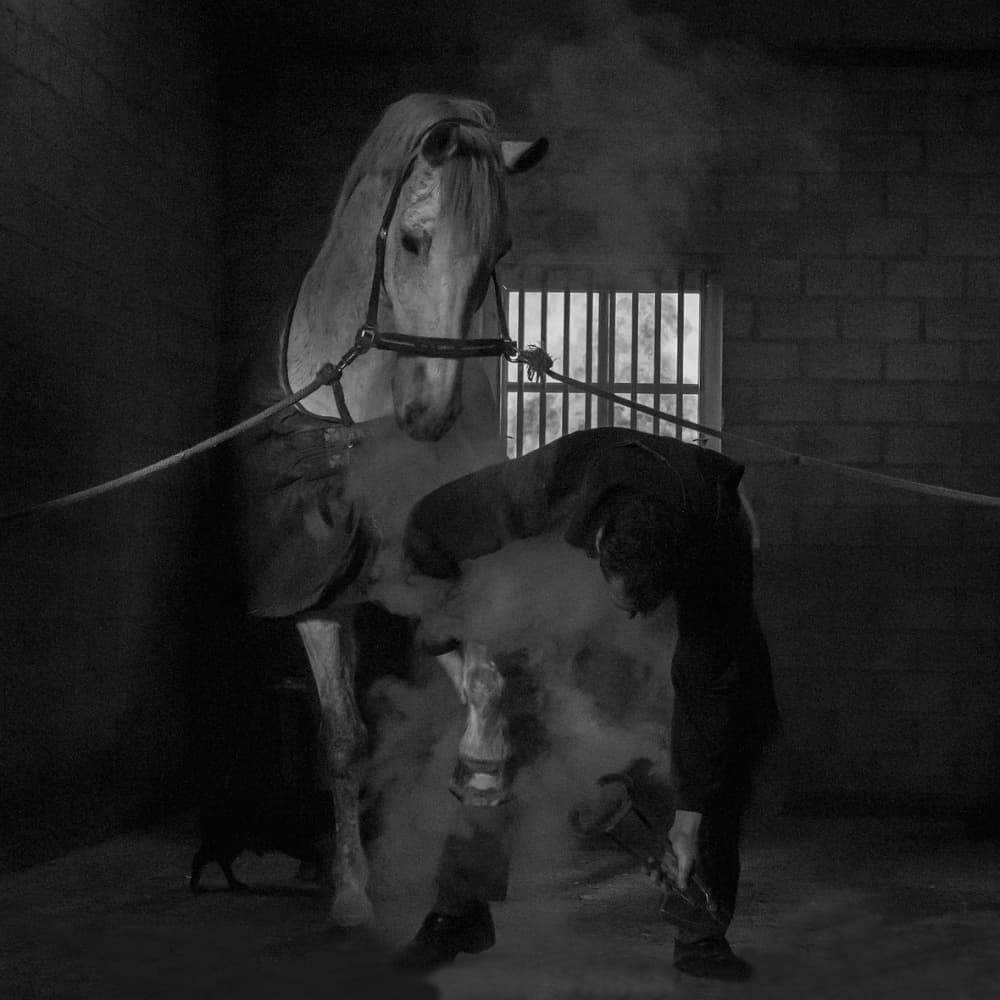 Smoky Horse Shoeing by Gert van den Bosch — canvas wall art