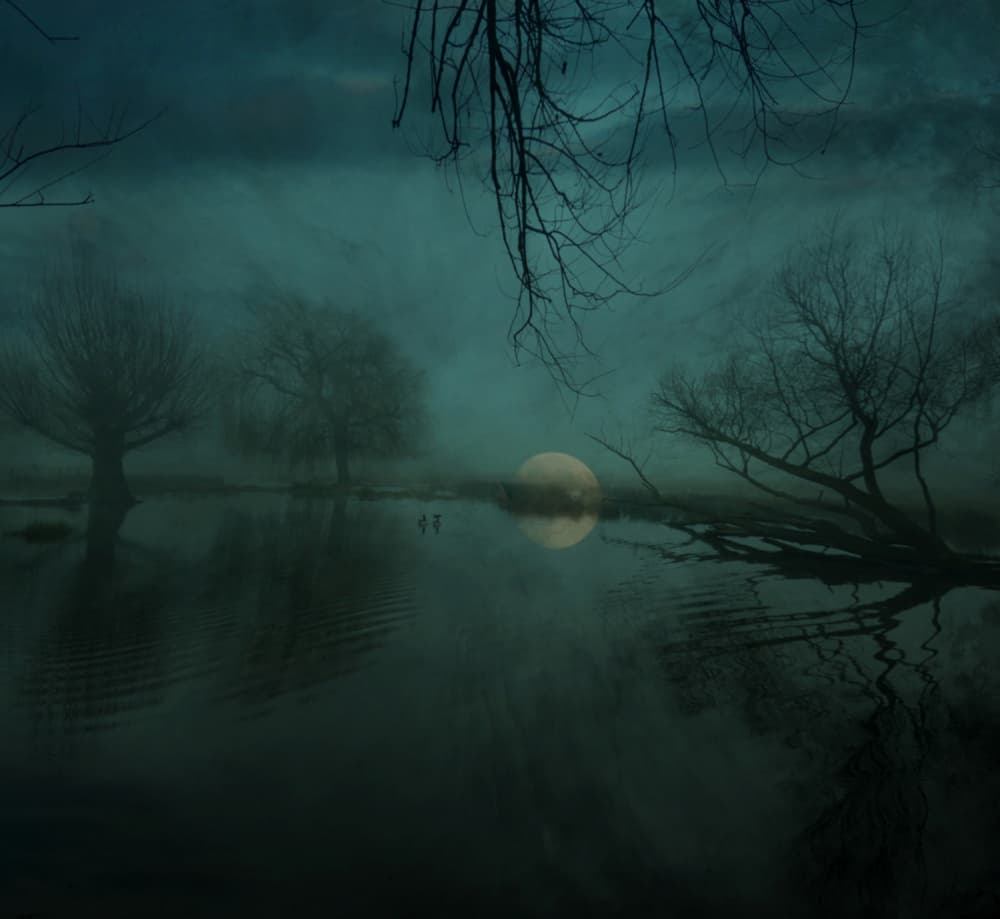 Misty Moonlit Lake by Robert Fabrowski — canvas wall art