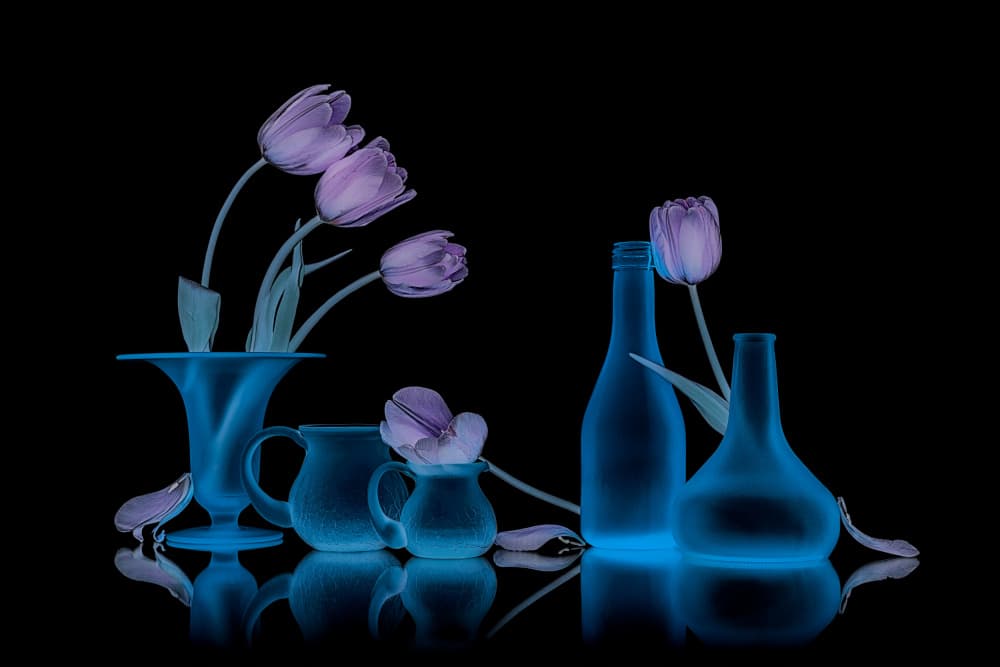 Glowing Tulips and Glass by Lydia Jacobs — canvas wall art