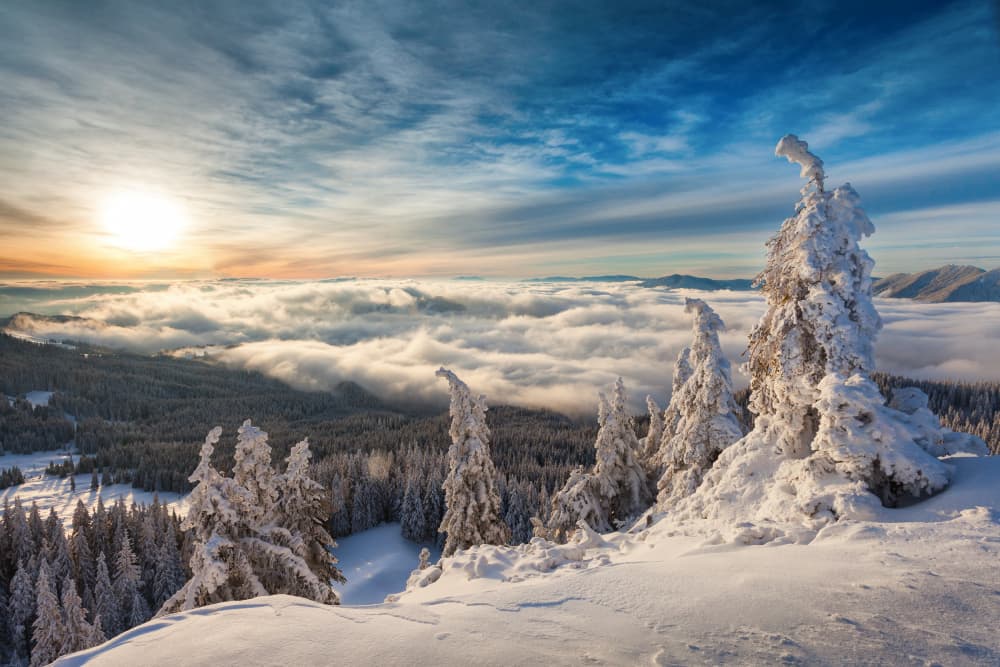 Winter Mountain Sunrise by Dan Mirica — canvas wall art