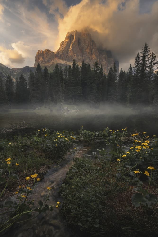 Misty Golden Peaks by Thomas de Franzoni — canvas wall art
