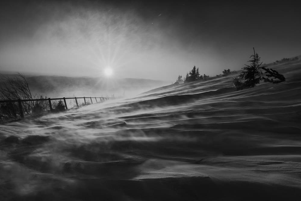 Windswept Winter Sun by Marian Kuric QEP — canvas wall art