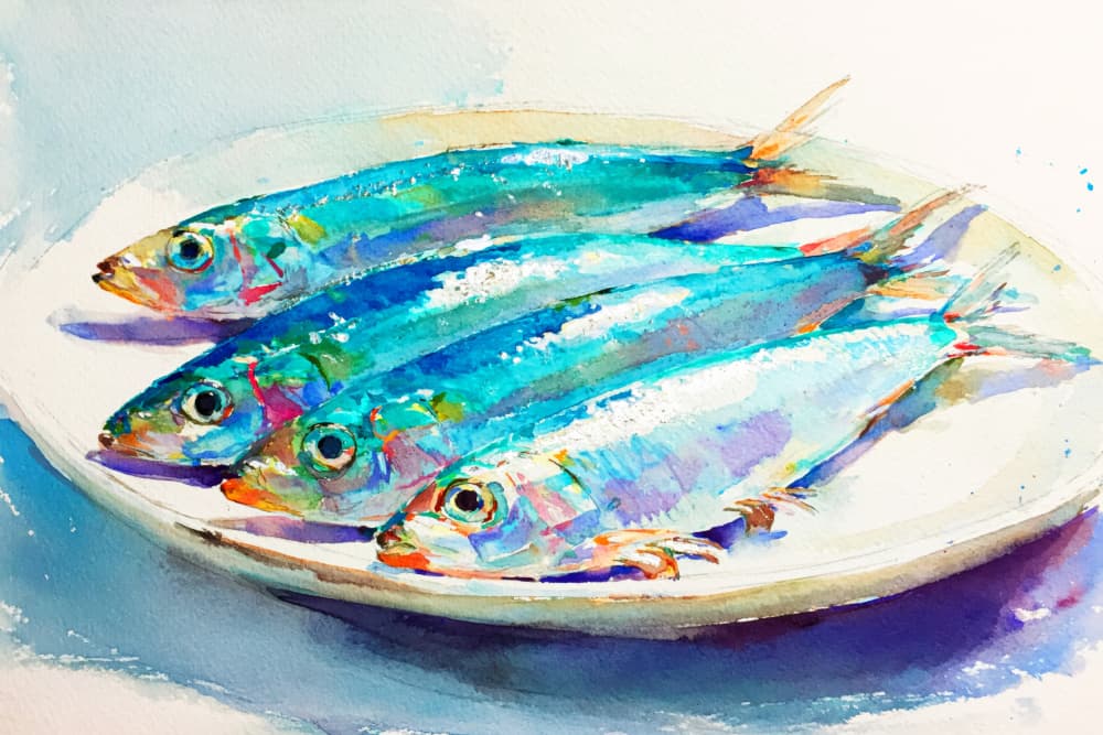 Vibrant Fresh Sardines by Treechild — canvas wall art