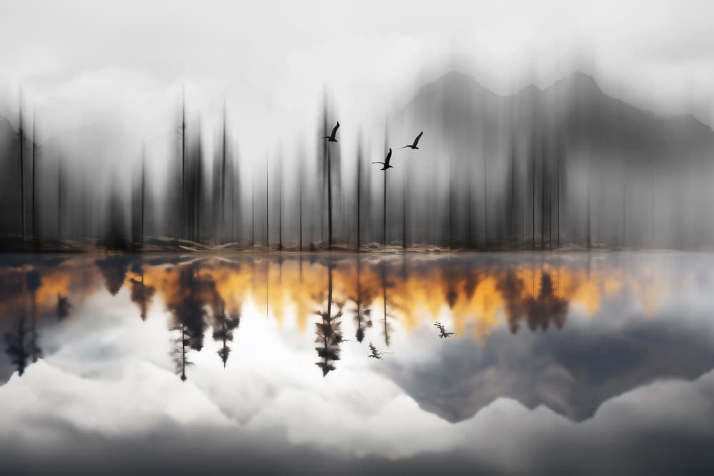 Blurred Forest Reflection by Hosam.Karara — canvas wall art