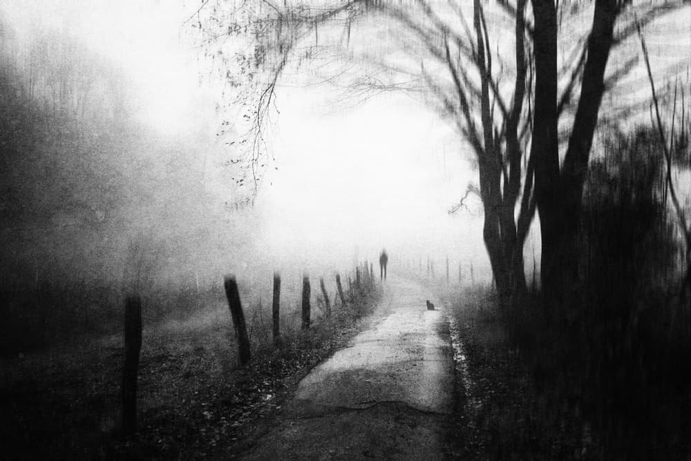 Foggy Path Figure by Adam Dauria ☂ — canvas wall art
