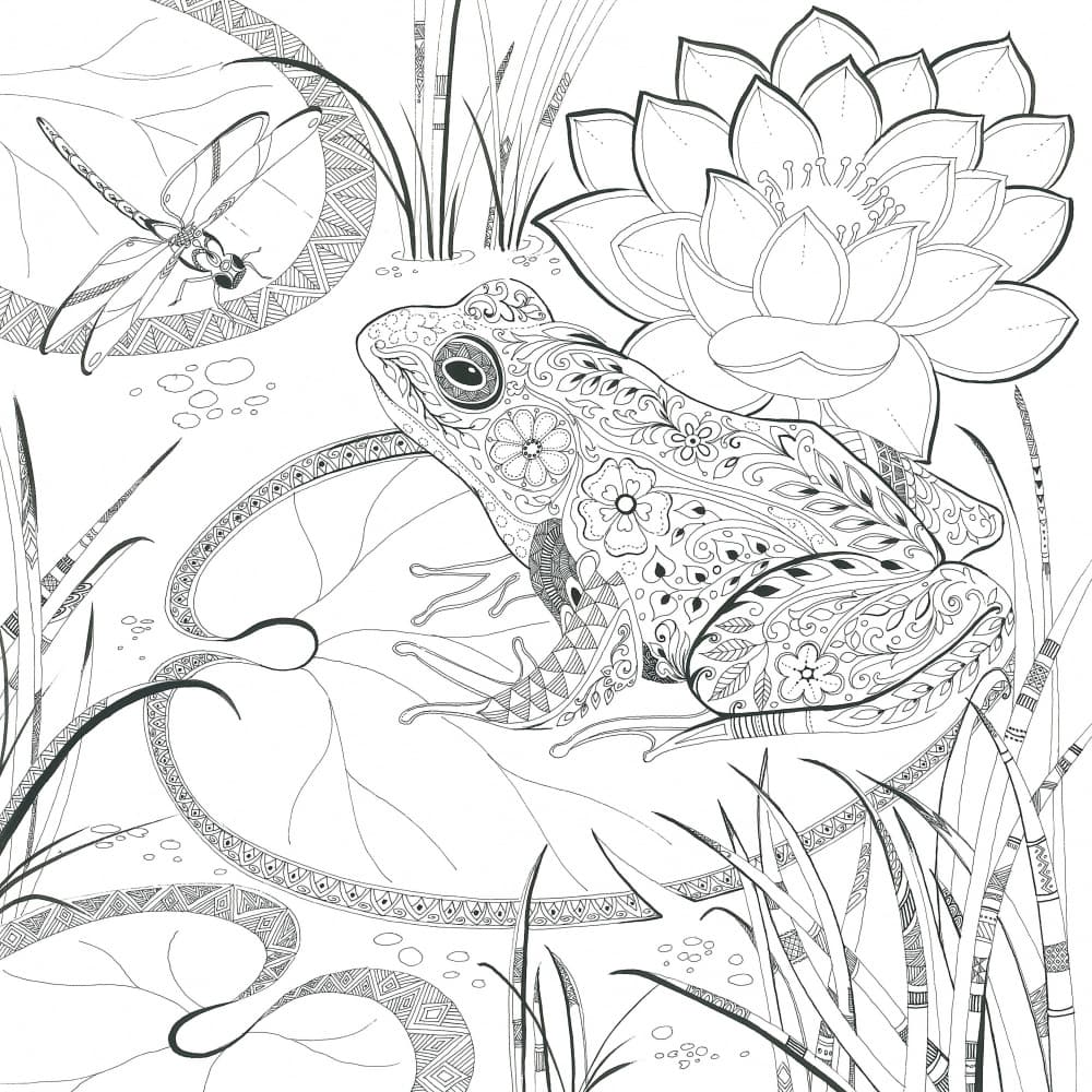 Ornate Pond Life by Isabelle Brent — canvas wall art