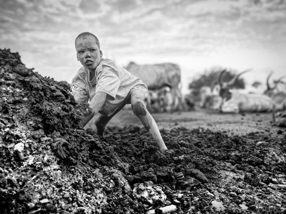 Muddy Boy with Cattle by Svetlin Yosifov — canvas wall art