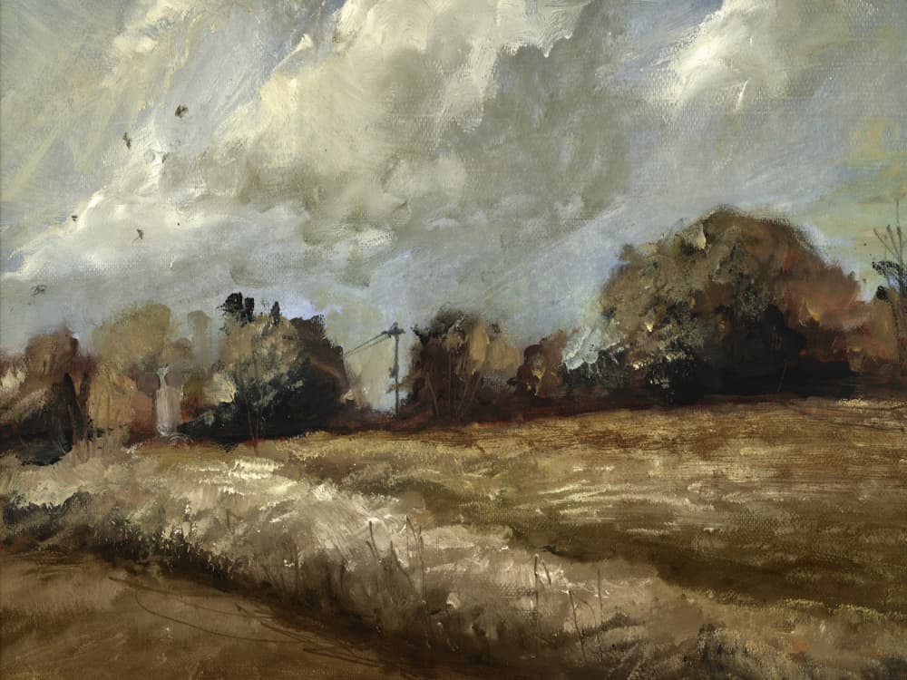 Oak Trees by Dan Hobday — canvas wall art