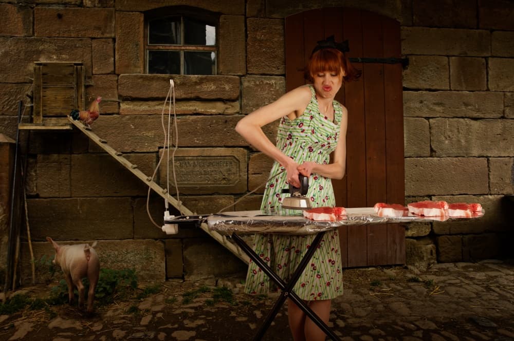 Quirky Farm Ironing by Christine von Diepenbroek — canvas wall art